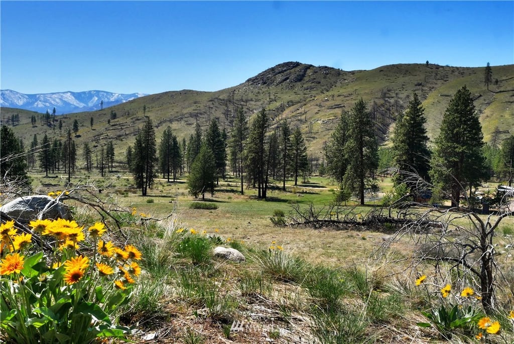 7 Jason Lucas Road Methow Valley Home Listings - North Cascade Land & Home Company Real Estate
