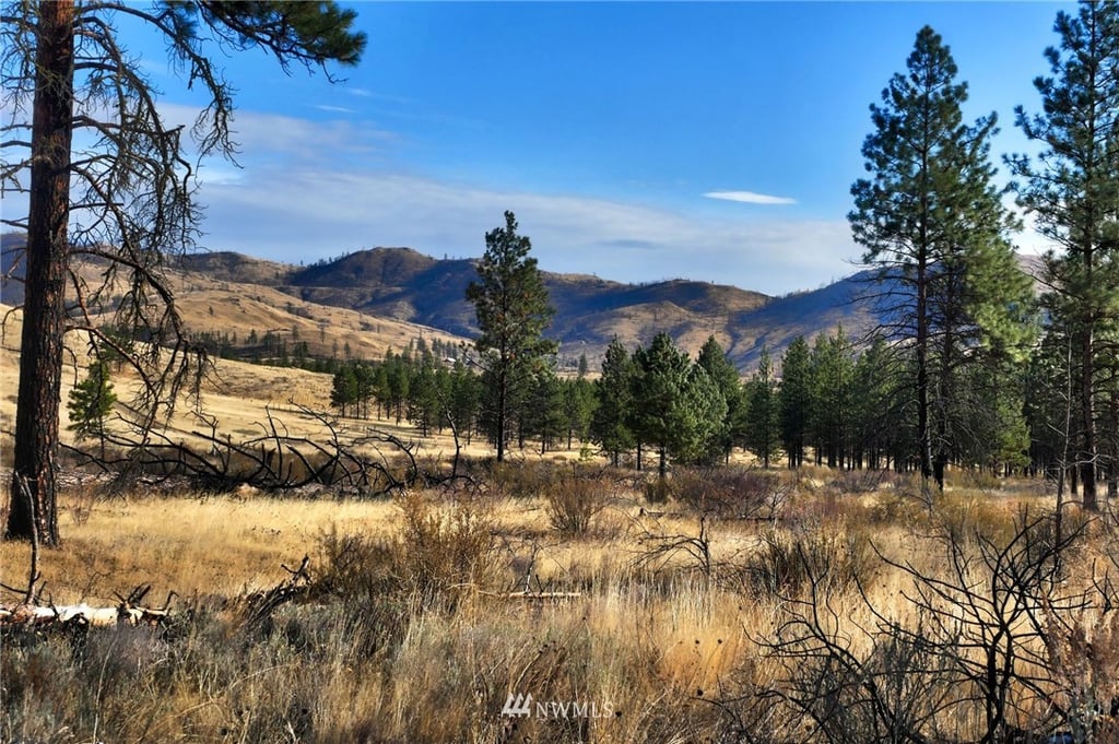 9 Jason Lucas Road Methow Valley Home Listings - North Cascade Land & Home Company Real Estate